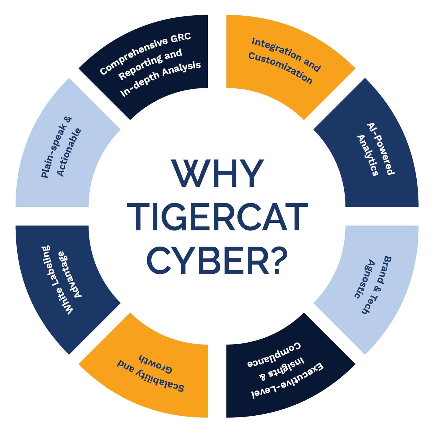 TigerCat Cyber Security Infographic